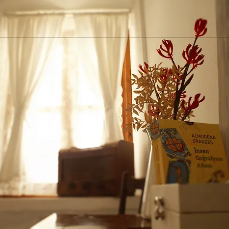 Morlimon アラカティ