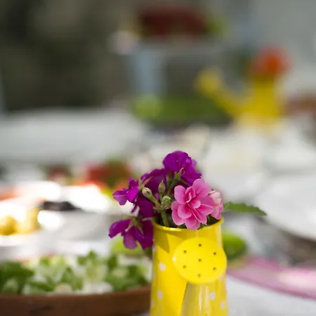 ゲストハウス Morlimon