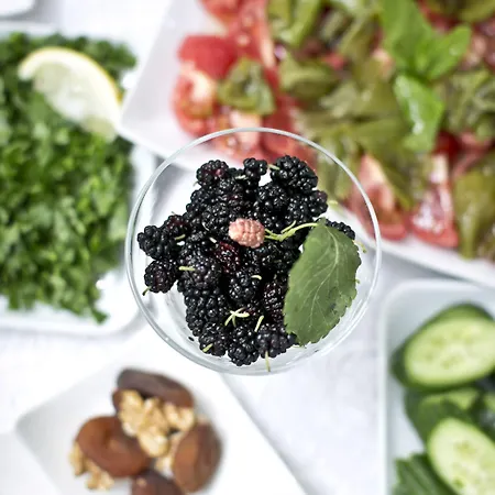 ゲストハウス Morlimon 3*