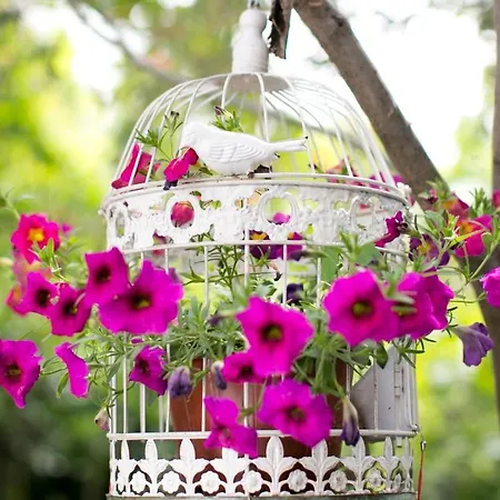 Morlimon Vendégház Alacati